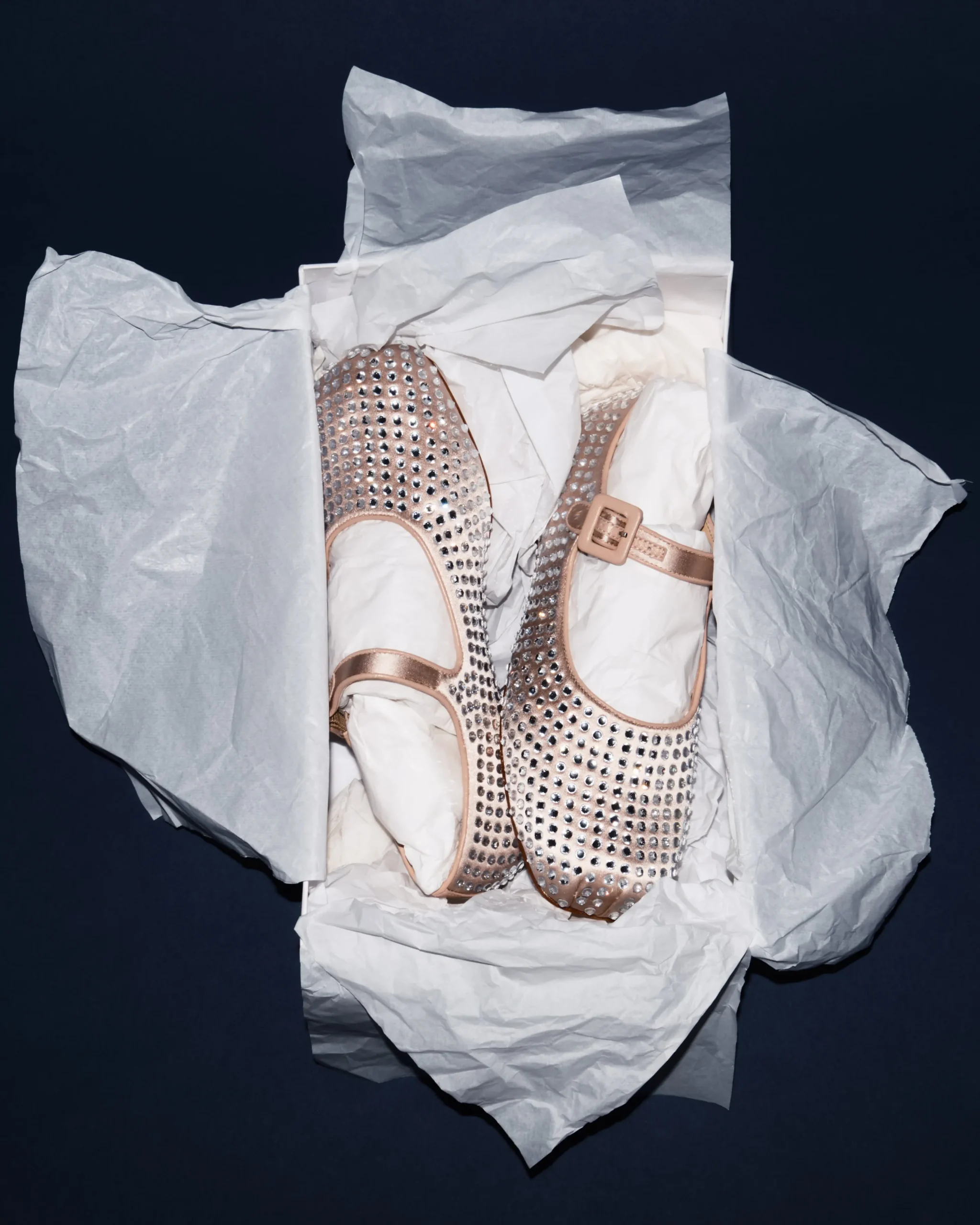 mary_jane_pointe_in_ballet_rhinestones_4.webp SANDY LIANG MARY JANE POINTE IN BALLET RHINESTONES> Shoes